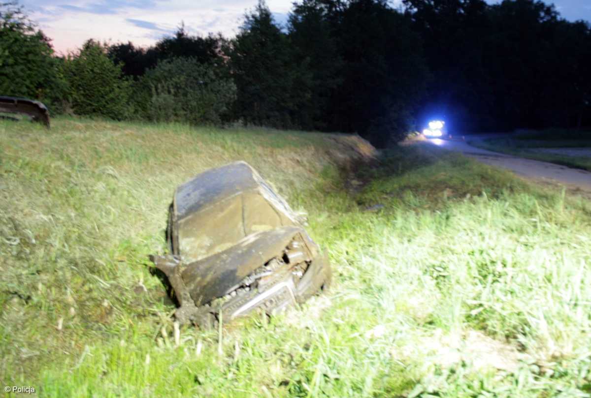 Audi w rowie