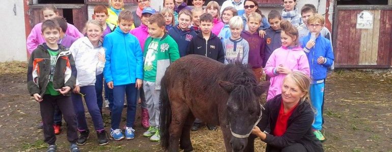 Świętowali dla kucyka Kubusia – FOTO