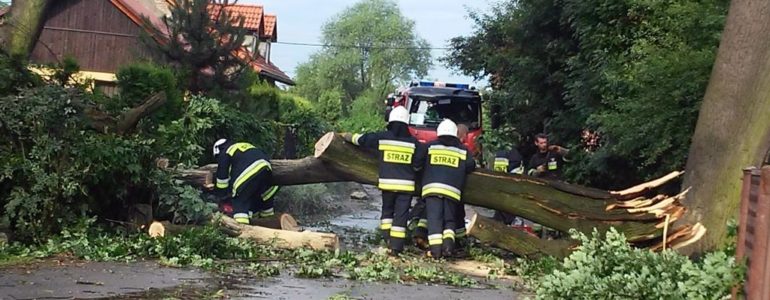 Ulewa nie wyrządziła szkód