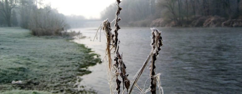 W poniedziałek słońce rozgoni poranne mgły