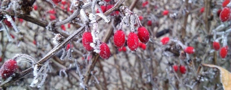 Jesień w powiecie oświęcimskim – FOTO