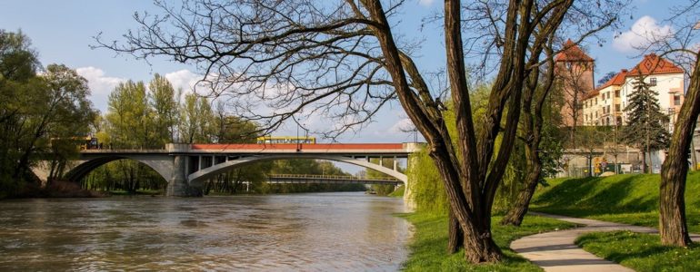 Poniedziałek deszczowy i wietrzny. Cieplej dopiero w czwartek