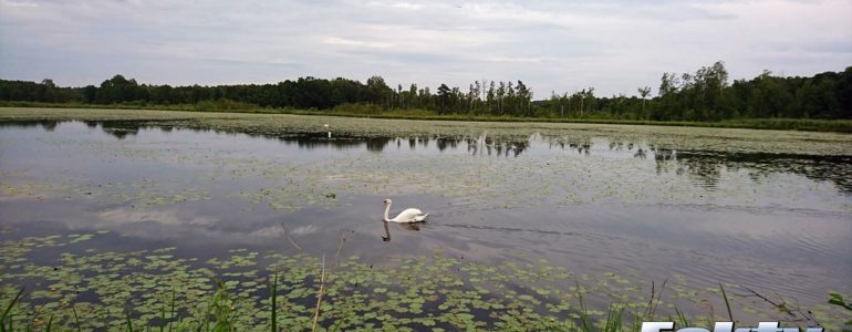 Od poniedziałku będzie coraz goręcej