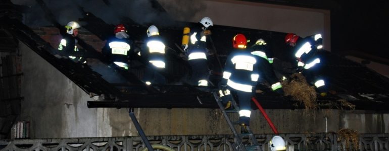 80 strażaków walczyło z ogniem w Zasolu – FOTO