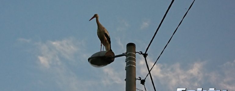 Gorąco i burzowo