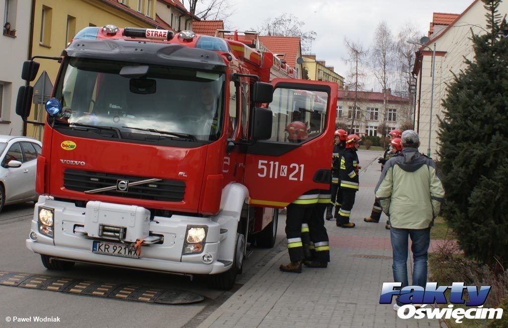 W ostatnich dniach oświęcimscy strażacy gasili sześć pożarów śmietników. Wszystkie w Oświęcimiu. Kara grzywny, a nawet więzienia, nie odstrasza podpalaczy.
