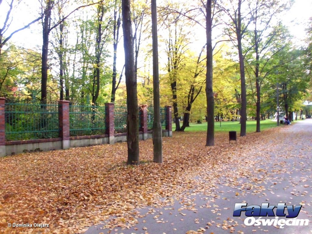 Przed nami mglista noc i mglisty dzień. Warto mieć na uwadze, że to jeden z ostatnich dni babiego lata. Odczujemy komfort termiczny, a pogoda dopisze w całej Małopolsce.