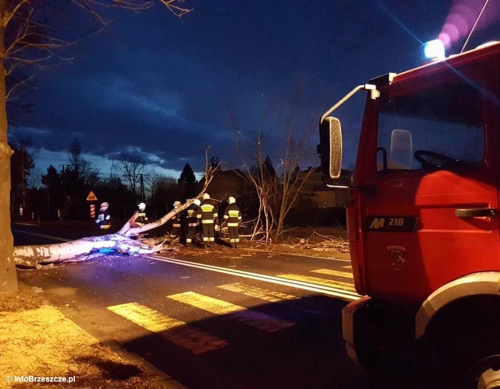 Strażacy ochotnicy i zawodowi 10 razy interweniowali dzisiaj do godz. 19.30 w związku z silnym wiatrem. W Kętach drzewo spadło na samochód z dwójką ludzi.