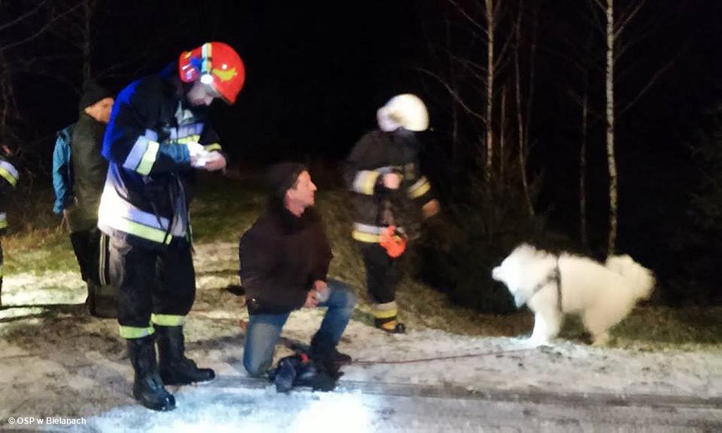 Strażacy ratowali psy, które dryfowały po stawie na krze. Nietypowa akcja, prowadzona po zmierzchu, zakończyła się sukcesem.