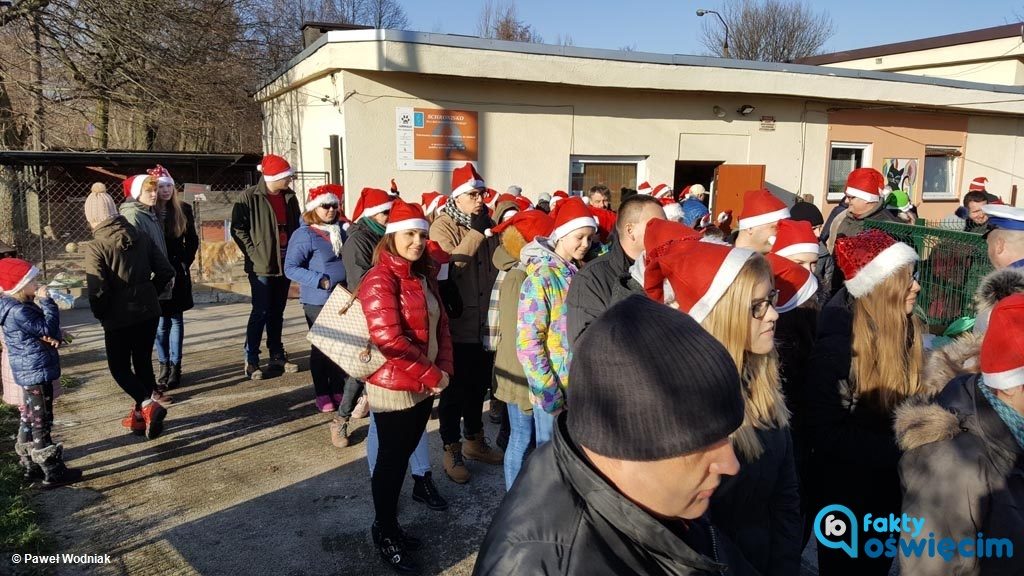 Kochasz zwierzęta? Podaruj walentynki tym czworonogom, które na co dzień nie doznają miłości w swoim domu i u swojego właściciela. Tym bezdomnym.