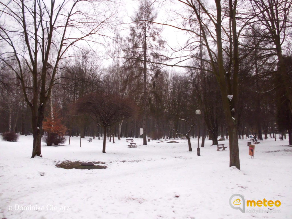 Koniec arktycznych temperatur. Poniedziałek pogodny w powiecie oświęcimskim.