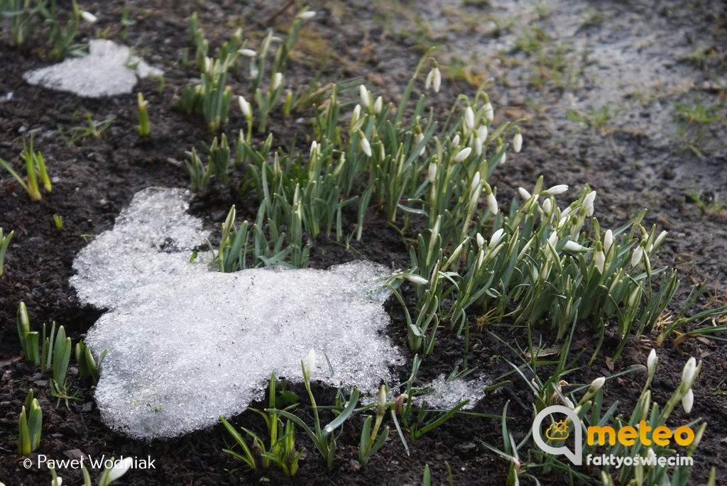 W środę będzie raczej pochmurno, okresami niewielkie opady deszczu, możliwe opady deszczu ze śniegiem.