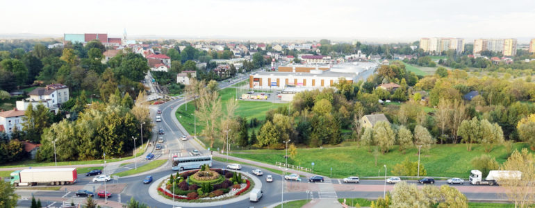 Posadzą tysiąc drzew w Oświęcimiu