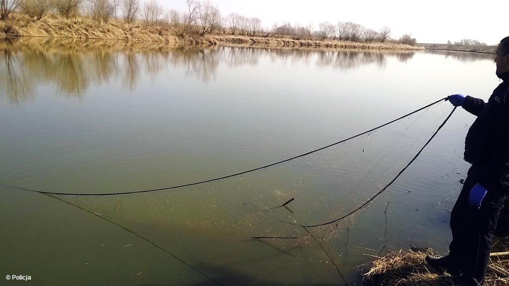 Nieznani sprawcy założyli sieci na Wiśle w Lesie w gminie Przeciszów. Oczywiście kłusownicy działali nielegalnie.