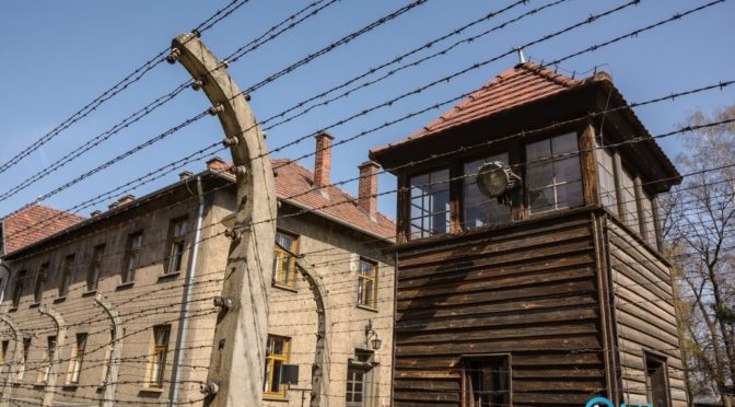 Dwóch obcokrajowców zostało zatrzymanych w Państwowym Muzeum Auschwitz-Birkenau podczas próby przywłaszczenia mienia należącego do Miejsca Pamięci.