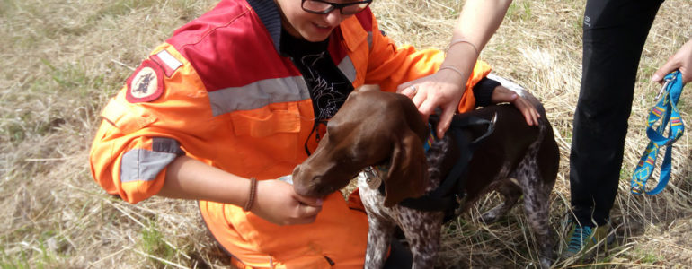 Ćwiczyli na poligonie z psami – FOTO