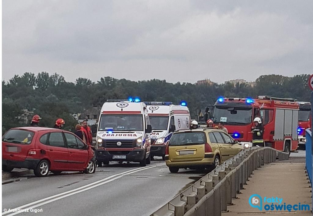 Dwumiesięczny niemowlak, dwoje dwuletnich dzieci i dwie kobiety trafiły do Szpitala Powiatowego w Oświęcimiu po zderzeniu na wiadukcie w Babicach.