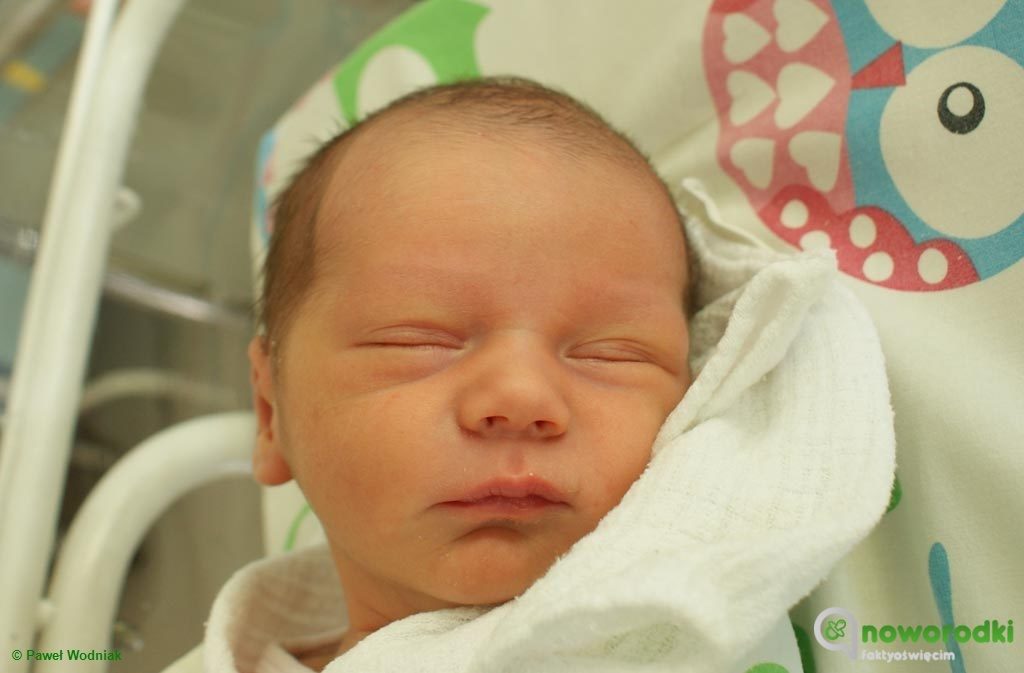 Na oddziale noworodkowym Szpitala Powiatowego w Oświęcimiu nadal prym wiodą chłopcy. Ostatnio urodziło się ich czterech. Towarzyszy im jedna dziewczynka.