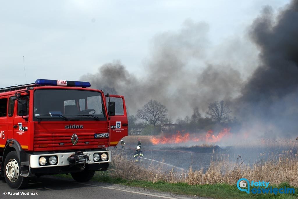 Prawie siedem milionów złotych na poprawę warunków w remizach i wzrost bezpieczeństwa sprzętu trafi w tym roku do ochotniczych straży pożarnych.