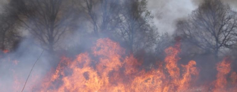 Potężny pożar lasu w Kętach