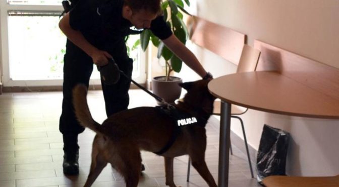 Powiat oświęcimski nie obronił się przed fałszywymi alarmami bombowymi. Policja szuka sprawców, którzy już wczoraj postawili na nogi służby ratunkowe.