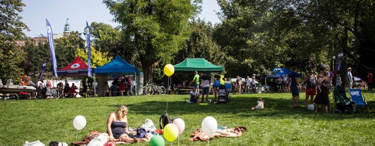 Przyjdź na piknik i poznaj organizacje pozarządowe