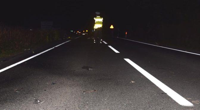 16-latek z powiatu wadowickiego zginął w wypadku drogowym na drodze krajowej nr 28 w Trzebieńczycach. Policja szuka prosi o kontakt świadka tej tragedii.