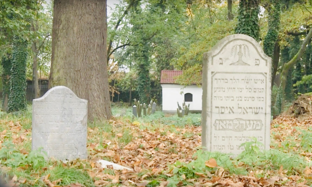 Muzeum Żydowskie w Oświęcimiu zaprasza na zwiedzanie zabytkowego cmentarza żydowskiego w Oświęcimiu. Start w niedzielę 3 listopada o godz. 10.