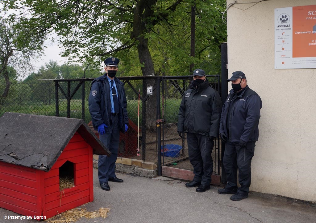 Podopieczni schroniska dla bezdomnych zwierząt w Oświęcimiu otrzymali pomoc od funkcjonariuszy Zakładu Karnego w Wadowicach. A to jeszcze nie koniec.