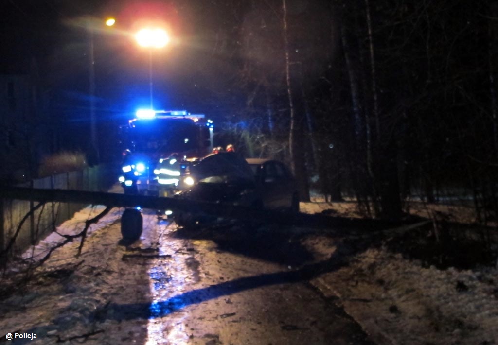 Mazda uderzyła w drzewo, które złamało się i spadło tuż przed samochodem. Kierowca uciekł z miejsca zdarzenia. W chwili zatrzymania był pijany.