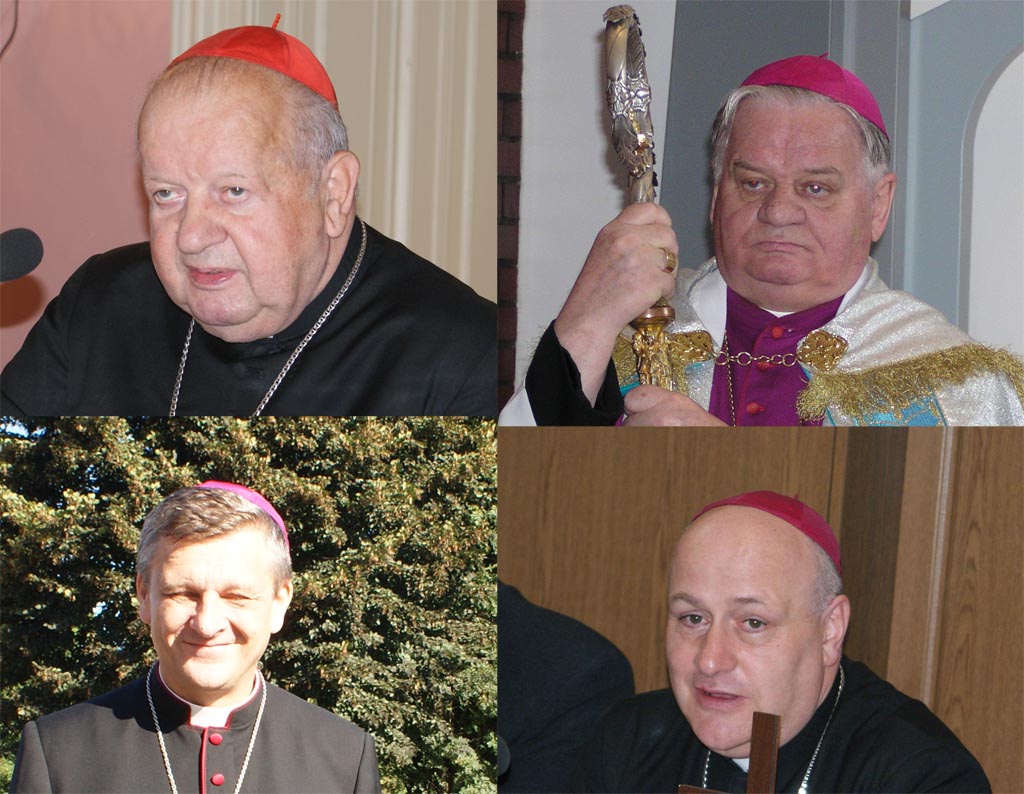 Komisja do spraw pedofilii powiadomiła prokuraturę o możliwości popełnienia przestępstwa przez czterech hierarchów kościoła katolickiego.