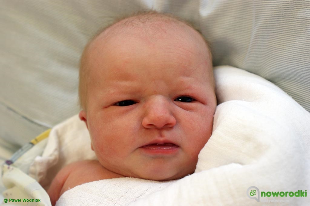 Prezentujemy kolejne zdjęcia noworodków urodzonych w Szpitalu Powiatowym w Oświęcimiu. Witamy dzisiaj cztery dziewczynki i dwóch chłopców.