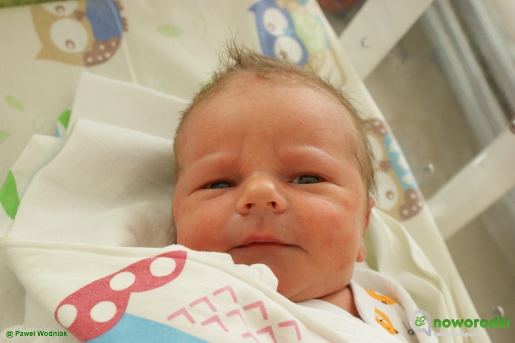 Prezentujemy kolejne zdjęcia noworodków urodzonych w Szpitalu Powiatowym w Oświęcimiu. Witamy dzisiaj Maję, Mikołaja oraz po dwóch Kubusiów i Olków.