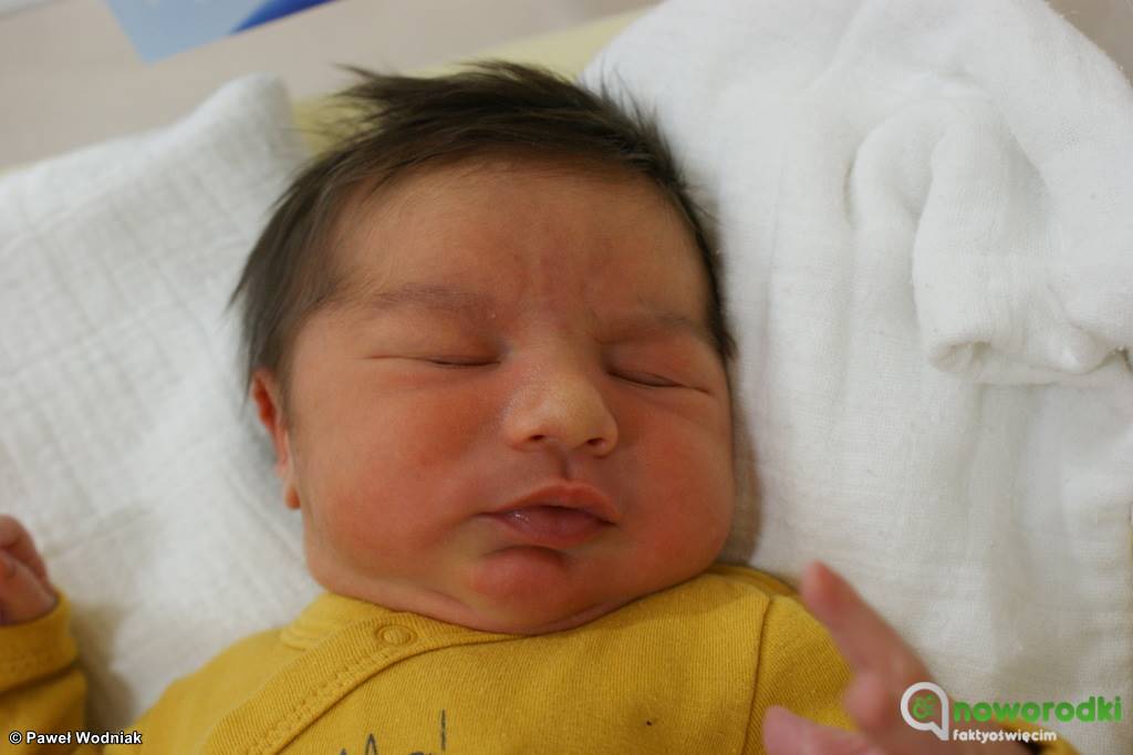 Prezentujemy kolejne zdjęcia noworodków urodzonych w Szpitalu Powiatowym w Oświęcimiu. Witamy trzy dziewczynki i trzech chłopców.