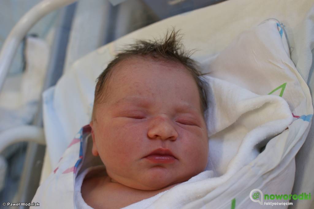 Prezentujemy kolejne zdjęcia noworodków urodzonych w Szpitalu Powiatowym w Oświęcimiu. Witamy Hanię, Wiki, Nelę, Olisia i Olka.
