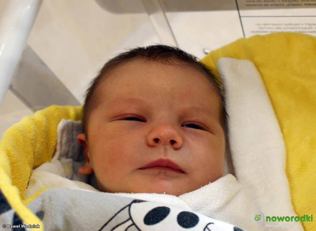 Prezentujemy kolejne zdjęcia noworodków urodzonych w Szpitalu Powiatowym w Oświęcimiu. Witamy dzisiaj Gabrysię, Olka, Stasia, Filipa i Oliwierka.