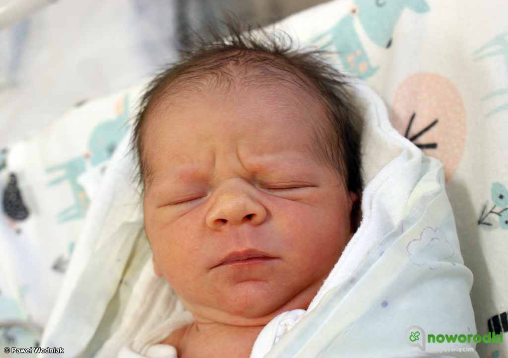 Prezentujemy kolejne zdjęcia noworodków urodzonych w Szpitalu Powiatowym w Oświęcimiu. Witamy dzisiaj Laurę, Karola, Kubę Oliwiera i Mikołaja.