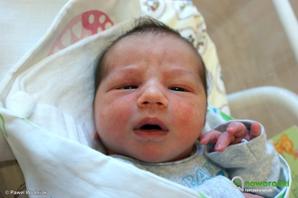 Prezentujemy kolejne zdjęcia noworodków urodzonych w Szpitalu Powiatowym w Oświęcimiu. Witamy dzisiaj dwie dziewczynki i pięciu chłopców.