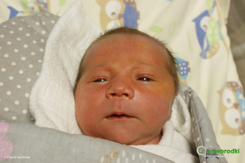 Prezentujemy kolejne zdjęcia noworodków urodzonych w Szpitalu Powiatowym w Oświęcimiu. Witamy dzisiaj jedną dziewczynkę i siedmiu chłopców.