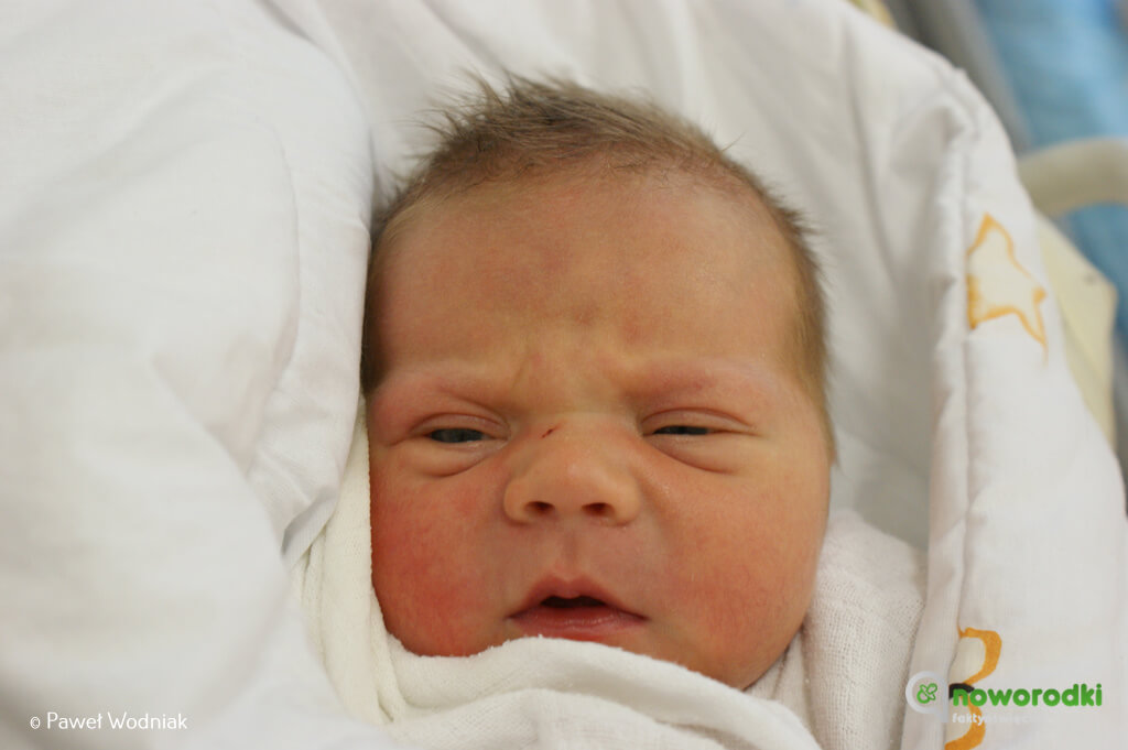 Prezentujemy kolejne zdjęcia noworodków urodzonych w Szpitalu Powiatowym w Oświęcimiu. Witamy dzisiaj Polę, Maję, Dominika i Erwina.