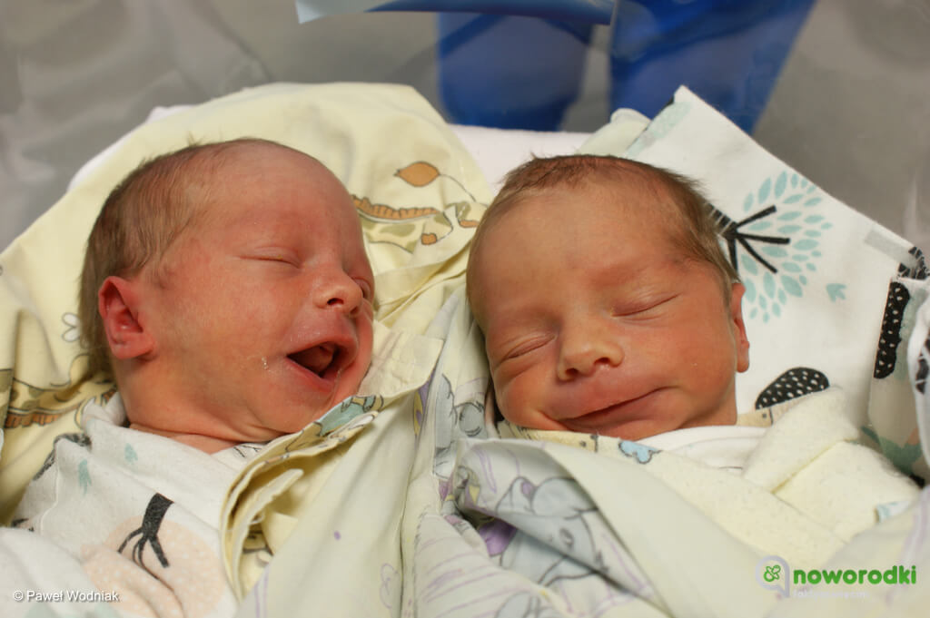 Prezentujemy zdjęcia noworodków urodzonych w Szpitalu Powiatowym w Oświęcimiu. Witamy Elizkę, Lidię, Kacperka, Szymonka i Tymonka.