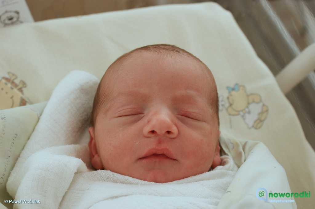 Prezentujemy zdjęcia noworodków urodzonych w Szpitalu Powiatowym w Oświęcimiu. Witamy Ignasia, Kamilka, Kacperka, Czarka i Dawidka.