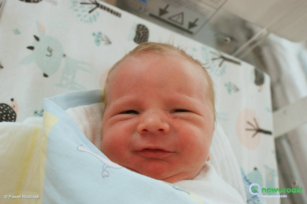 Prezentujemy zdjęcia noworodków urodzonych w Szpitalu Powiatowym w Oświęcimiu. Witamy Idę, Laurę, Ninę i Dominika.