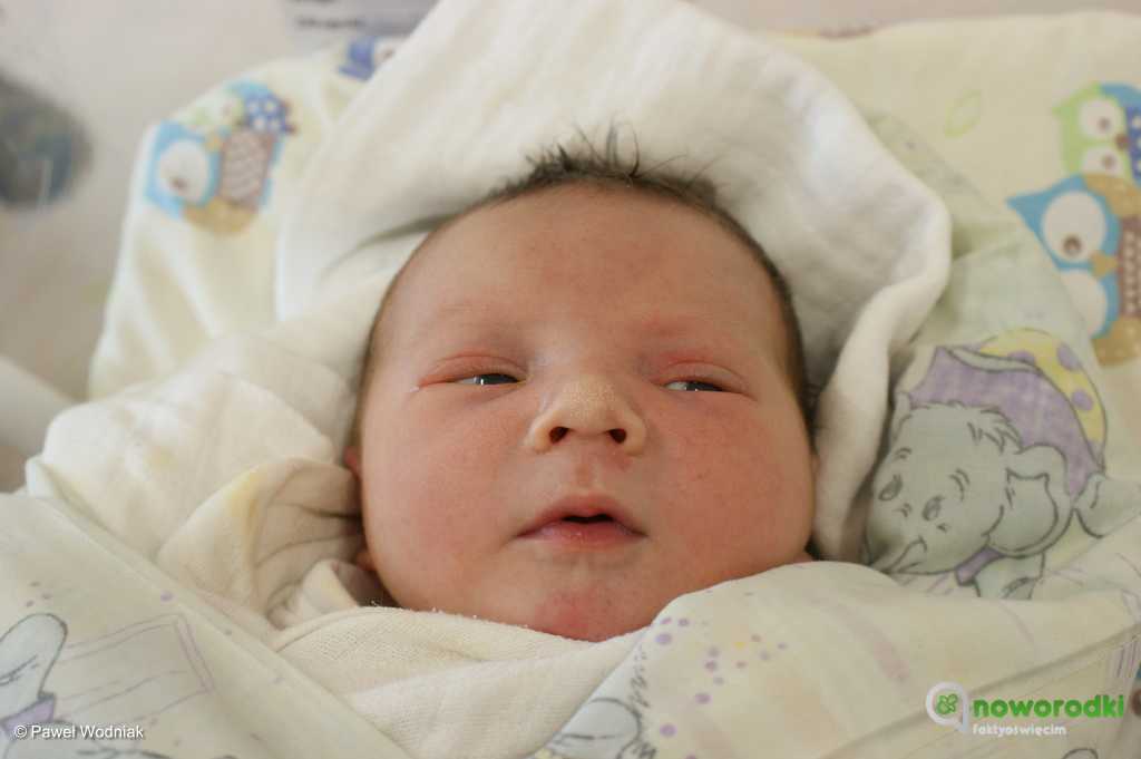 Prezentujemy zdjęcia noworodków urodzonych w Szpitalu Powiatowym w Oświęcimiu. Witamy cztery dziewczynki i czterech chłopców.