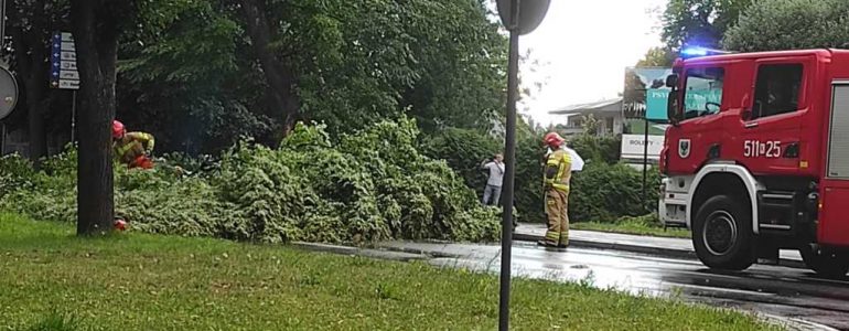 Drzewo zablokowało główną arterię Oświęcimia – FOTO