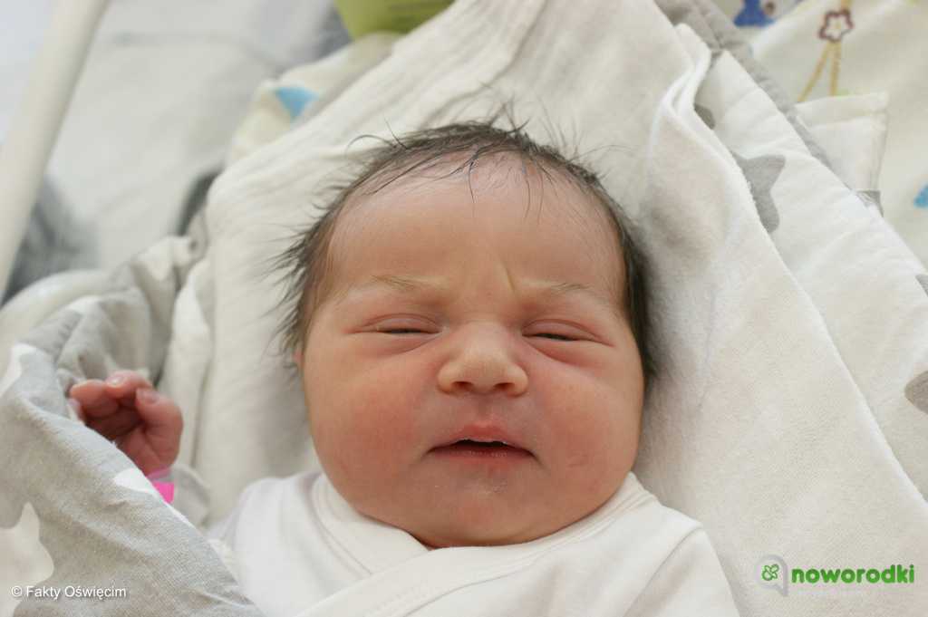 Prezentujemy zdjęcia noworodków urodzonych w Szpitalu Powiatowym w Oświęcimiu. Witamy Kalinkę, Dianę, Hanię, Oliwia, Maksa i Dominisia.