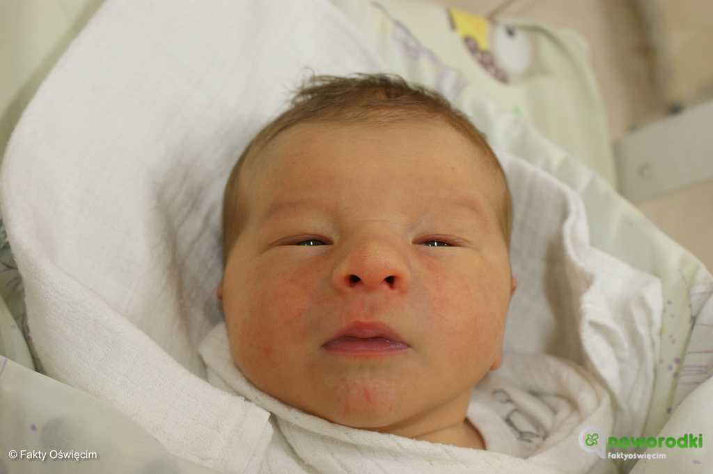 Prezentujemy zdjęcia noworodków urodzonych w Szpitalu Powiatowym w Oświęcimiu. Witamy Igusię, dwóch Antosiów, Kubusia i Franusia.