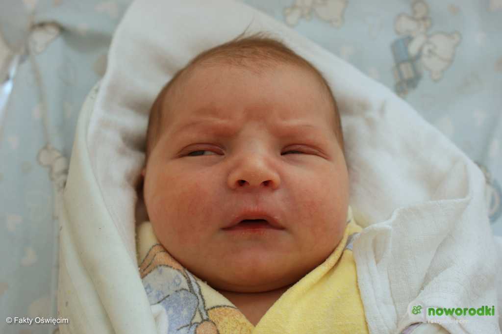 Prezentujemy zdjęcia noworodków urodzonych w Szpitalu Powiatowym w Oświęcimiu. Witamy cztery dziewczynki i trzech chłopców.