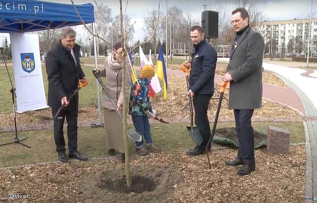„Wieści z ratusza” mówią o kasztanowcu zasadzonym w Alei Drzew Pamięci w pierwszą rocznicę bandyckiej napaści Rosji na Ukrainę.