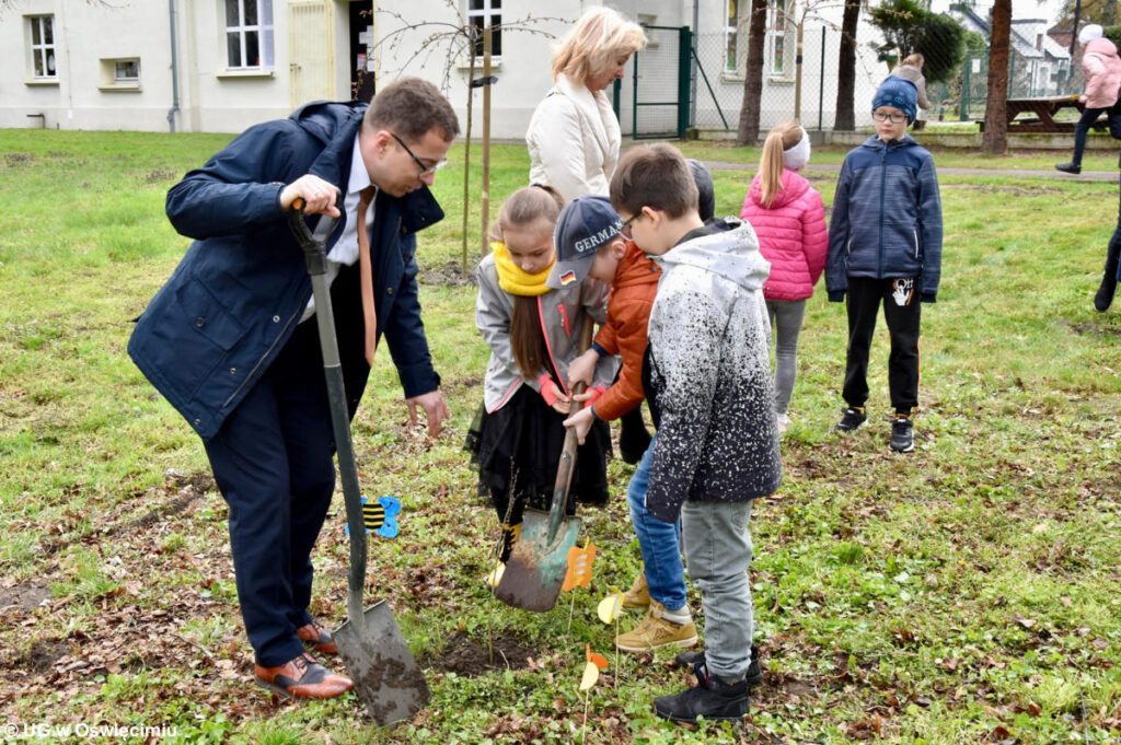 Od piątku przy szkole podstawowej w Harmężach działa edukacyjna pasieką ekologiczna. Przybyło również drzew.